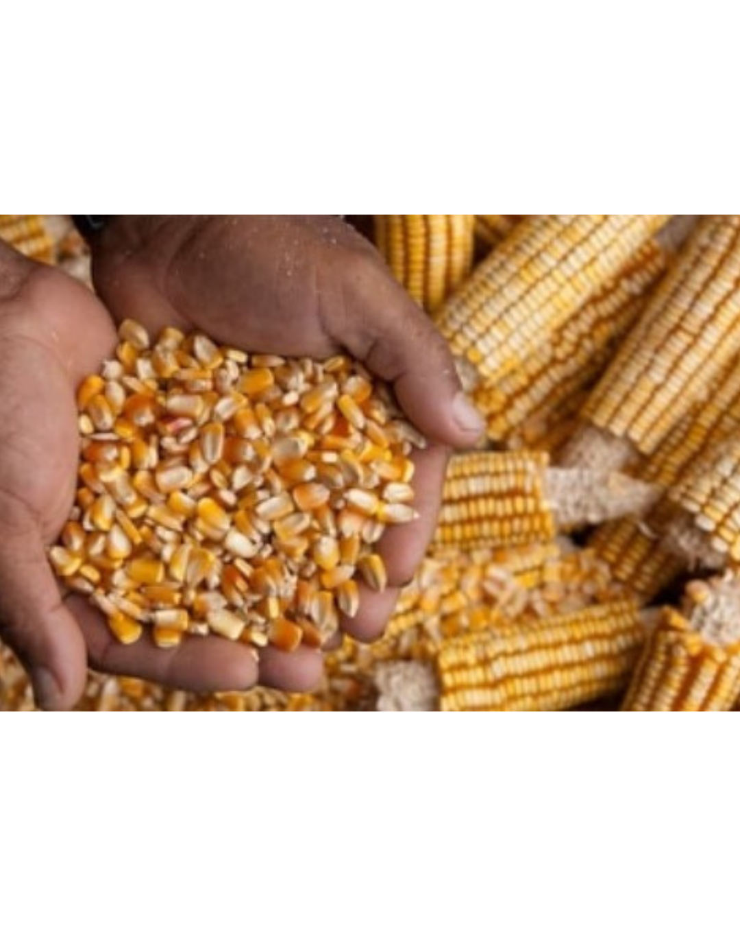 Agricultural supply