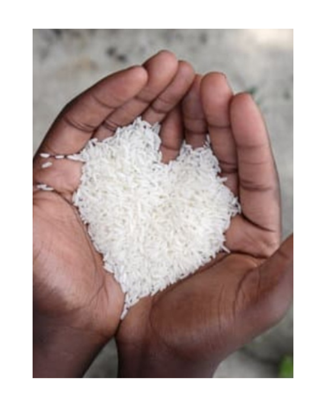 Rice commodities