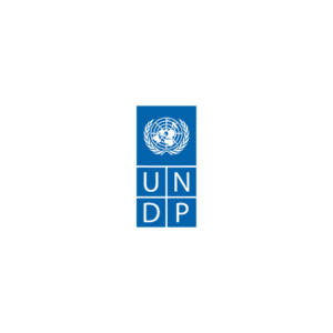 corporate client - UNDP